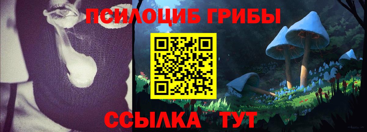 Псилоцибиновые грибы мицелий  Псилоцибиновые грибы GOLDEN TEACHER  Вход с VPN  Норильск 